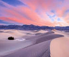 CALIFRONIA DESERT 233X